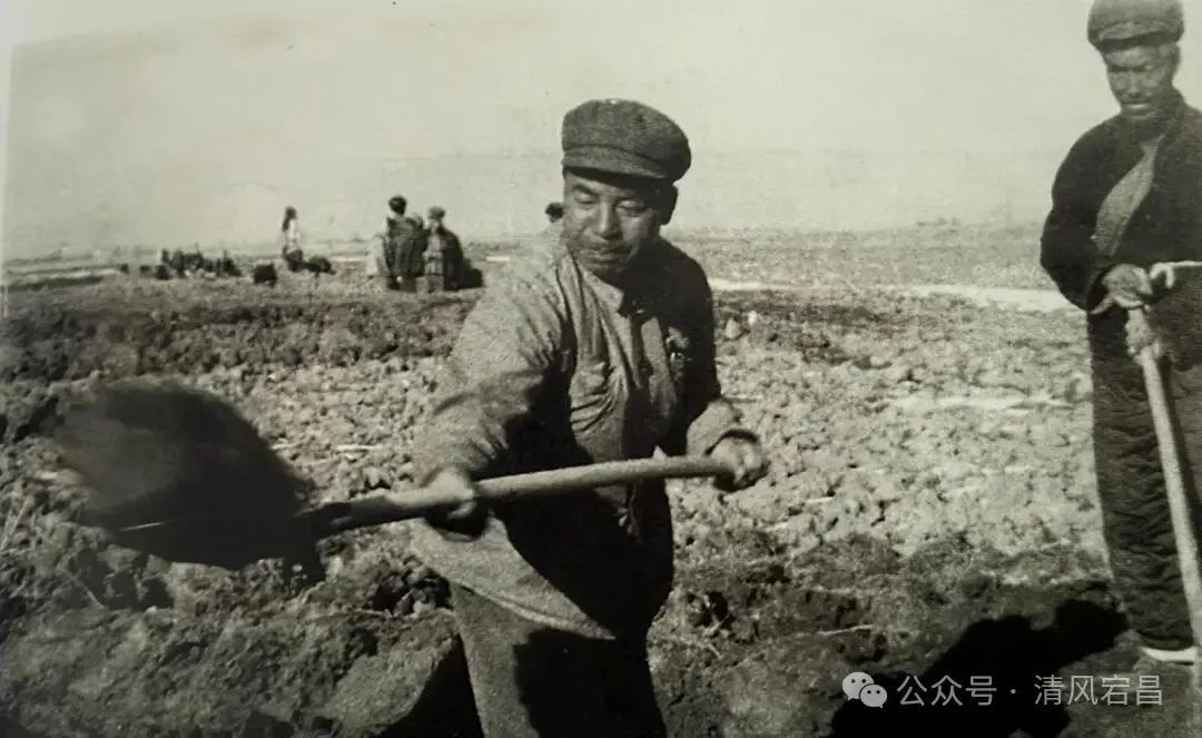 民乐县平田整地期间,韩正卿同志(左一)与群众一起劳作 图片